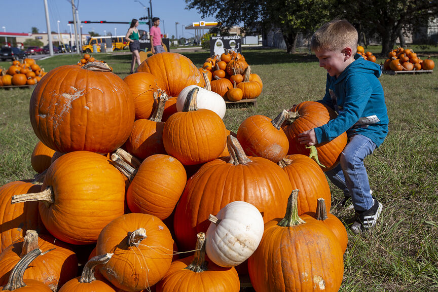Faith in Action pumpkin patch